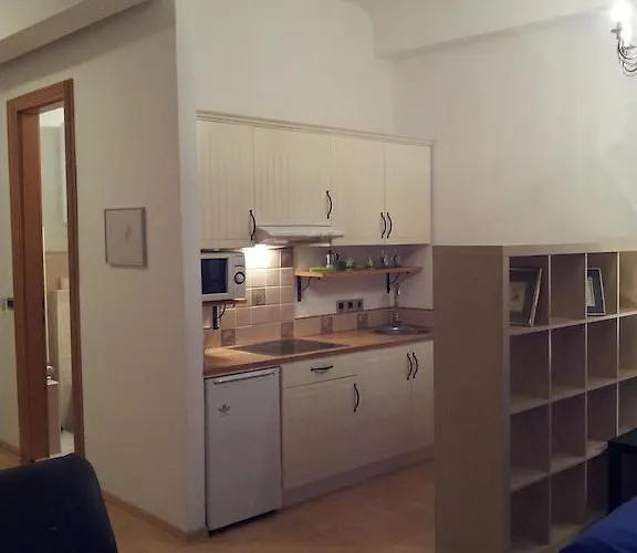 伊恩1号一室公寓 卢布尔雅那