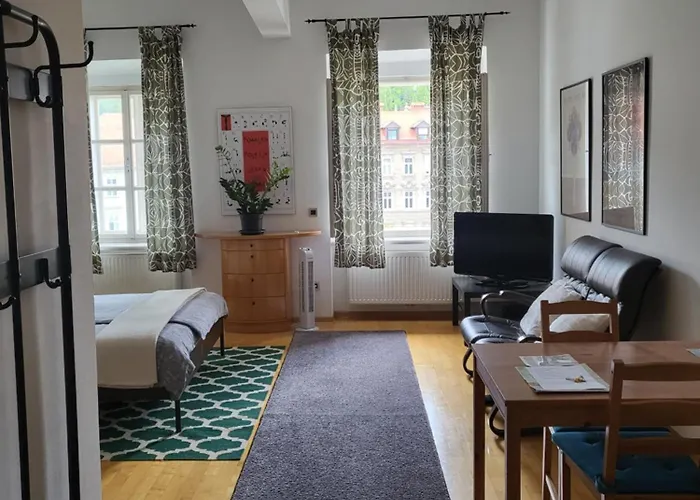 伊恩1号一室公寓 * 卢布尔雅那